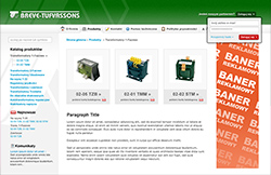 Projekt witryny Brevetrafo.de