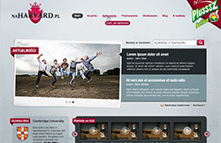 Projekt witryny naHarvard.pl