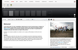 miniaturka 9